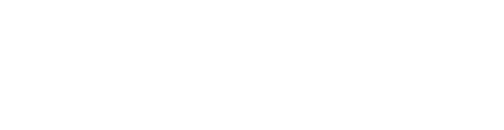 Flexyma Logo